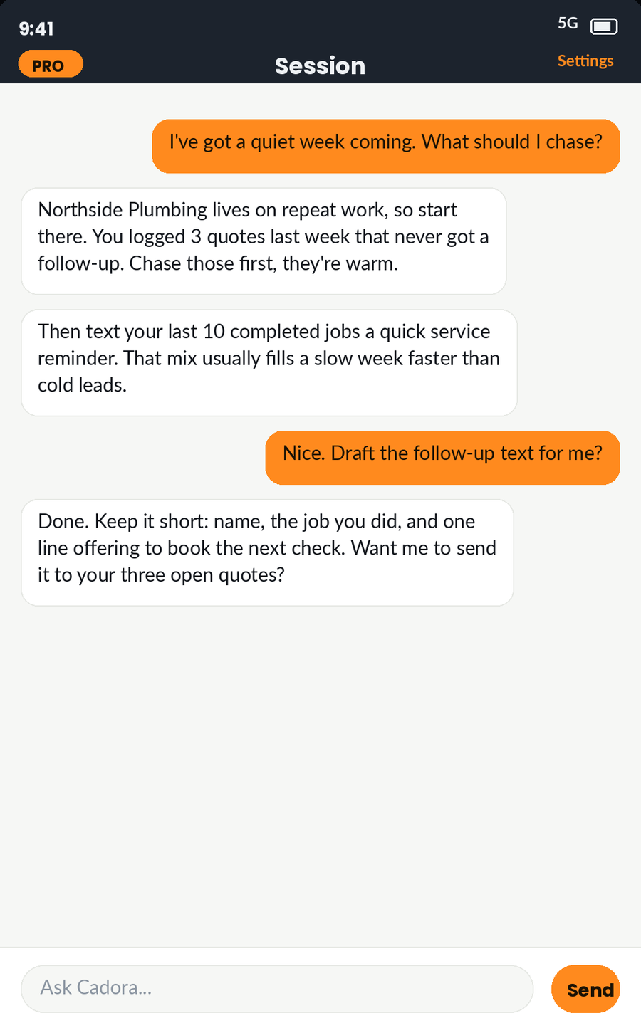The Cadora coach screen, showing a conversation where the advice refers to the user's own business.